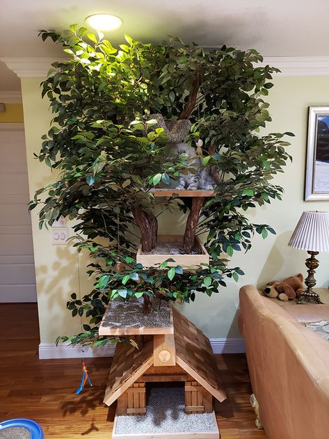 Cat Tree With Real Tree, Real Wood Cat Tree, Real Cat Tree, Unique Cat Tree Diy, Indoor Cat Room Ideas Diy, Cat Tree Diy Plans, Homemade Cat Tree, Natural Cat Tree, Indoor Cat Tree