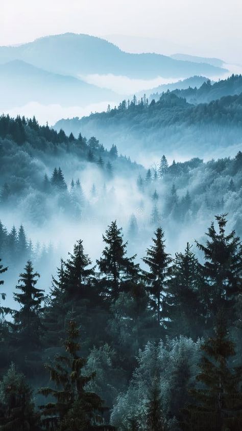 A foggy mountain landscape with trees and fog royalty free stock images Foggy Wallpaper, Winter Scapes, Aesthetic Fog, Fog Aesthetic, Foggy Trees, Folio Ideas, Monochrome Landscape, Landscape References, Foggy Landscape