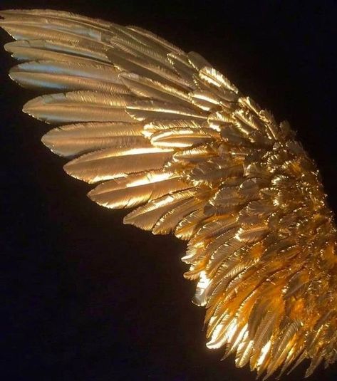 Gold Angel Aesthetic, Wings Aesthetic Angel, Wings Aesthetics, Gold Fairy Wings, Angel Wings Aesthetic, Golden Brunette, Art In Nature, Serena Van Der Woodsen, Gold Girl