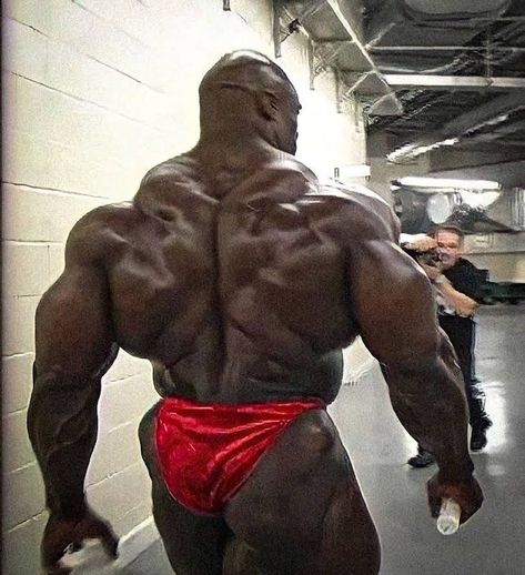 Muscle Transformation, Arnold Schwarzenegger Bodybuilding, Schwarzenegger Bodybuilding, Bodybuilding Pictures, Ronnie Coleman, Gym Art, Body Building Men, Mr Olympia, Fitness Bodybuilding