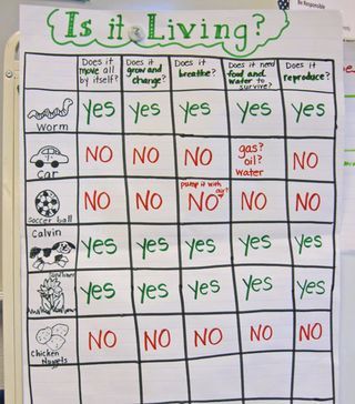 Anchor Chart Living or Non-living Science Investigation Table, Plants Kindergarten, Steam Classroom, Science Experience, Biological Science, Global Perspectives, Living And Nonliving, Preschool Room, Classroom Science