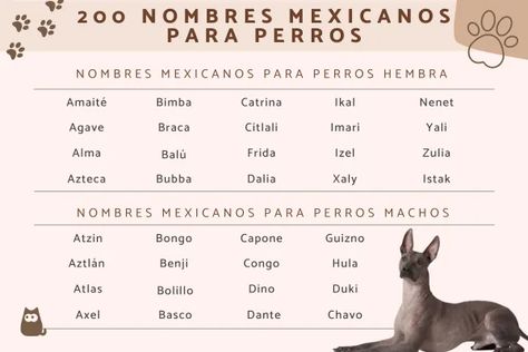 200 NOMBRES MEXICANOS para PERROS hembra y macho - ¡Descubre ideas originales! Male Pitbull Names, Mexican Girl Names, Male Dog Names Unique, Girl Dog Names Unique, Mexican Names, Pitbull Names, Girl Mexican, Names Male, Dog Names Unique