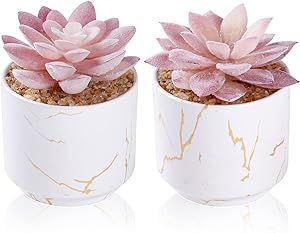 Succulents Indoor Decor, Pink Office Decor, Office Decor For Women, Bureau Decor, Desk Plants, Fake Plants Decor, Pink Room Decor, Fake Succulents, Artificial Potted Plants