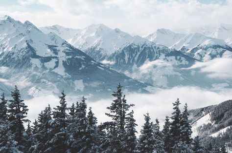 Beautiful shot of mountains and trees co... | Free Photo #Freepik #freephoto #tree #snow #wood #nature Snowy Mountains Landscape, Misha Petrov, Snow Animation, Snow Mountain Landscape, Landscape Wall Mural, Mountains And Trees, Mountain Aesthetic, Mountain Landscape Photography, Mountain Images