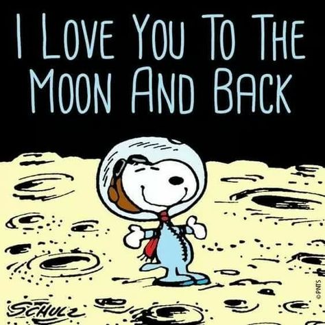 I love you to the moon and back Snoopy Charlie Brown Snoopy, Snoopy Funny, Snoopy Images, Peanuts Cartoon, Snoopy Quotes, Peanuts Characters, Snoopy Pictures, Snoop Dog, Joe Cool