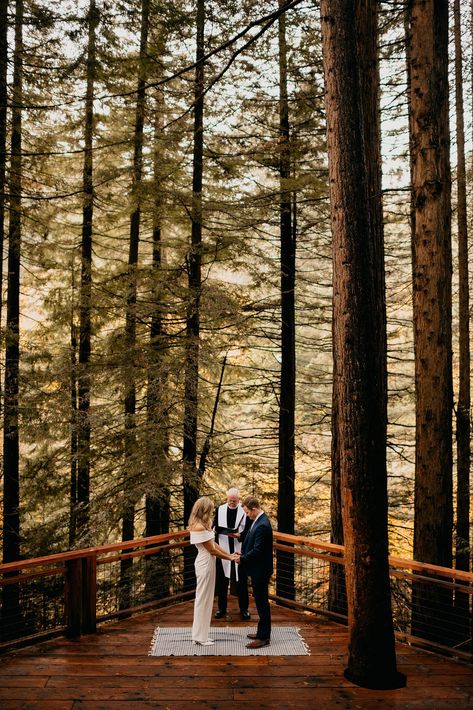 bride and groom holding hands praying during elopement ceremony at Hoyt arboretum in Portland Oregon Forest Wedding Details, Treehouse Weddings, Bride And Groom Praying, Hoyt Arboretum Wedding, Tree Wedding Ceremony, Hoyt Arboretum, Treehouse Wedding, Oregon Coast Elopement, Twilight Wedding