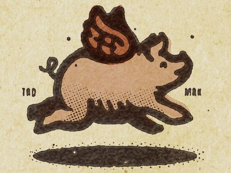 Vintage Pig Illustration, Pig Graphic Design, Pig Branding, Pig Illustration Design, Pork Illustration, Flying Pig Drawing, Flying Pig Logo, Flying Pigs Art, Pig Graphic