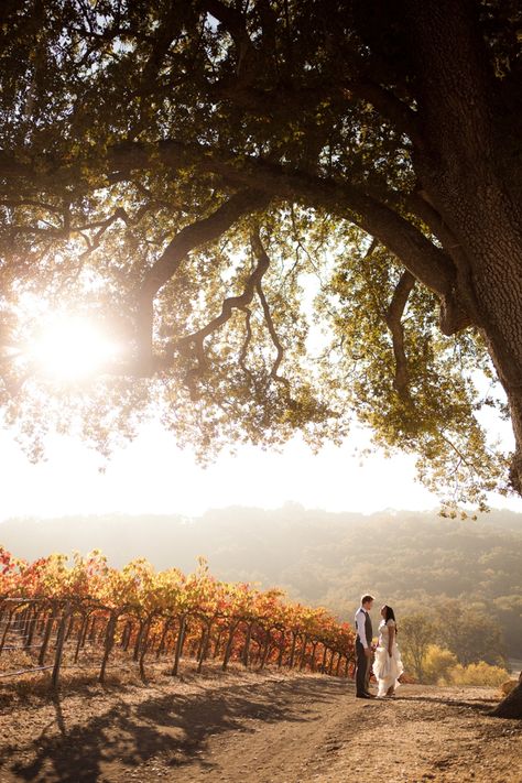 Rustic & Vintage Fall Wedding at HammerSky Vineyards. A fall vineyard wedding Vineyard Engagement Photos, Vintage Fall Wedding, Fall Vineyard, Winery Wedding Photos, California Wedding Venues, Vintage Fall, Best Wedding Venues, Pre Wedding Photoshoot, Winery Weddings