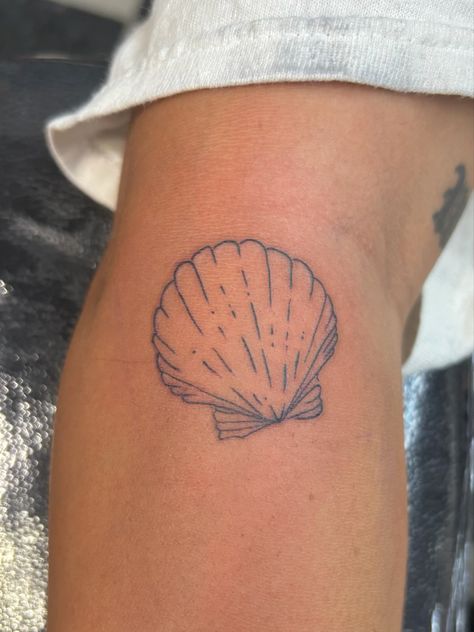 Geometric Shell Tattoo, Sunrise Shell Tattoo, Water Fine Line Tattoo, Line Shell Tattoo, Shell Tattoos For Women, Scallop Tattoo, Fine Line Shell Tattoo, She’ll Tattoo, Scallop Shell Tattoo