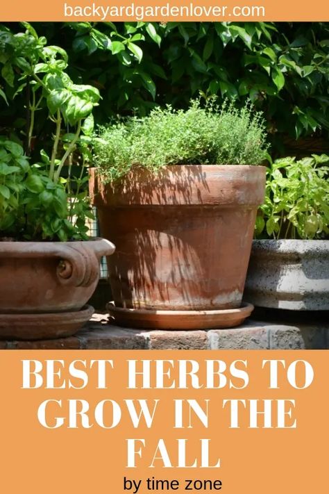 Fall Herbs To Grow, Homestead Tips, Autumn Gardening, Low Maintenance Garden Design, Best Herbs To Grow, Herbs To Grow, Edible Gardening, Grow Herbs, Herb Garden In Kitchen