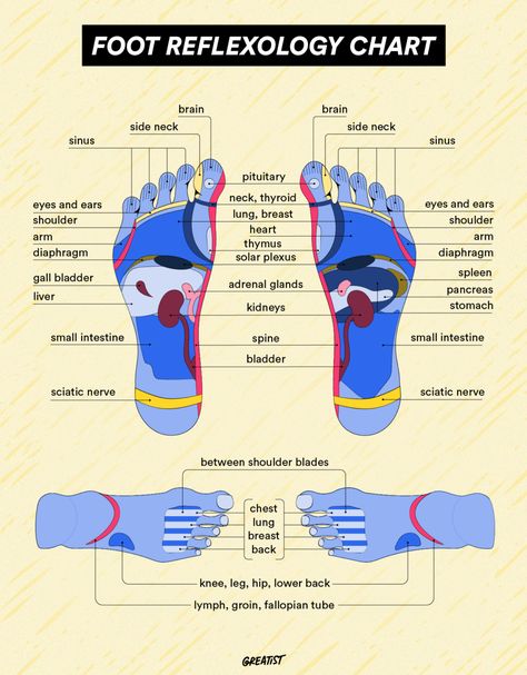 Reflexology Benefits, Reflexology Foot Chart, Foot Reflexology Massage, Reflexology Chart, Acupressure Mat, Acupressure Massage, Kinesiology Taping, Reflexology Massage, Fallopian Tubes