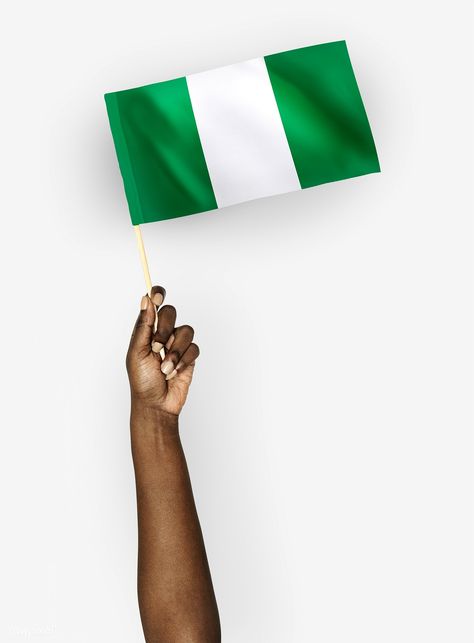 Person waving the flag of Federal Republic of Nigeria | free image by rawpixel.com Person Waving, Nigerian Independence Day, Nigeria Independence Day, Nigerian Independence, African Animals Photography, Nigeria Independence, Nigerian Flag, Nigeria Flag, Independence Day Background