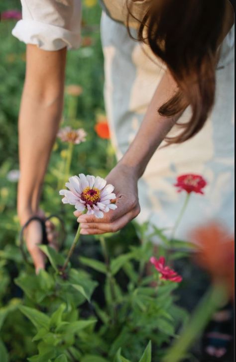 Gardener Style, Flower Cottage, Picking Flowers, Spring Has Sprung, Flower Farm, Summer Garden, Love Flowers, Cottage Garden, A Flower