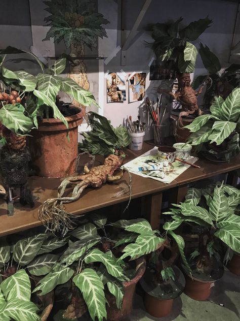 Professor Sprout Aesthetic, Herbology Classroom, Harry Potter Inspired Room, Lady Hekate, Harry Potter Plants, Garden Theme Classroom, Harry Potter Mandrake, Fan Behavior, Tropical Greenhouses