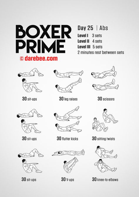 Boxer Prime, Boxer Abs, Boxer Workout, Boxing Workout Routine, Home Boxing Workout, Boxer Training, Fighter Workout, Boxing Training Workout, Boxing Drills