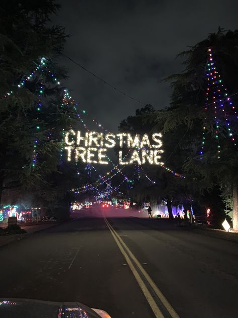 #ChristmastreeLane #FresnoCalifornia #Fresno #Christmas #Christmaslights #California Christmas In California Aesthetic, Fresno Aesthetic, California Christmas, Fresno California, All Things Christmas, Christmas Tree, California, Christmas, Quick Saves