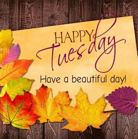 Happy Tuesday Meme, Good Morning Tuesday Wishes, Happy Tuesday Pictures, Happy Tuesday Images, Meme Happy, Day And Night Quotes, Good Morning Tuesday Images, Wednesday Morning Quotes, Happy Tuesday Morning