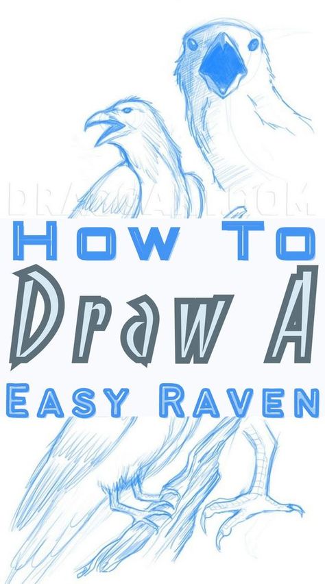 Learn how to draw a raven with step-by-step illustrated instructions and ready to print. The Raven is a fascinating creature that a lot of people like seeing. #drawings #cutedrawing #birddrawing #ravendrawings How To Draw A Raven Easy, Crows Ravens Drawing, How To Draw Raven, How To Paint A Crow, How To Draw A Raven, Raven Drawing Simple, Raven Bird Drawing, Raven Art Drawing, Raven Drawing Sketch