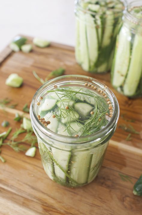 Pickle Cucumbers, Making Dill Pickles, Refrigerator Pickles Dill, Pickled Foods, Dill Pickle Recipe, How To Make Pickles, Cucumber Canning, Quick Pickled Cucumbers, Refrigerator Pickles