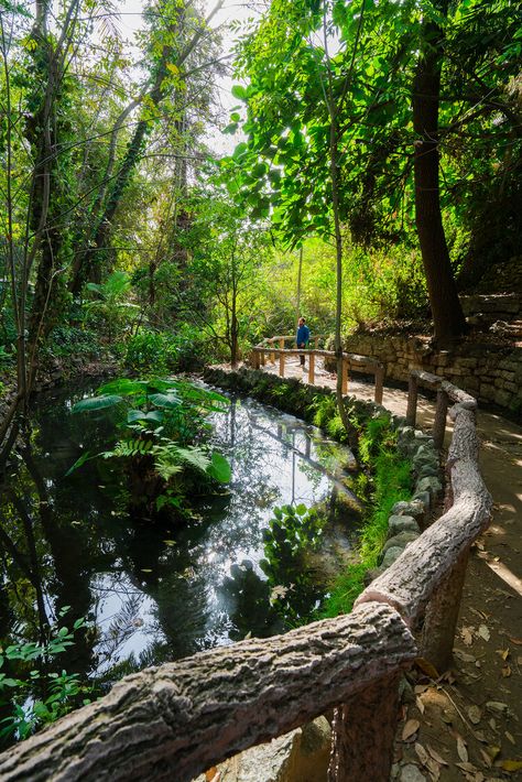 7 Most Scenic Short Walks in Los Angeles County — Explore More Nature La Hikes, Hikes In Los Angeles, Los Angeles Aesthetic, Los Angeles Parks, Los Angeles Travel, Play Basketball, Griffith Park, Hiking Spots, Forest Bathing