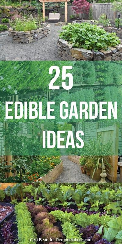 25 Edible Garden Ideas -- grow herbs and vegetables no matter the size of your yard @Remodelaholic Edible Garden Ideas, Grow Herbs, Edible Landscaping, Veg Garden, Growing Herbs, Garden Layout, Veggie Garden, Work Today, Edible Garden