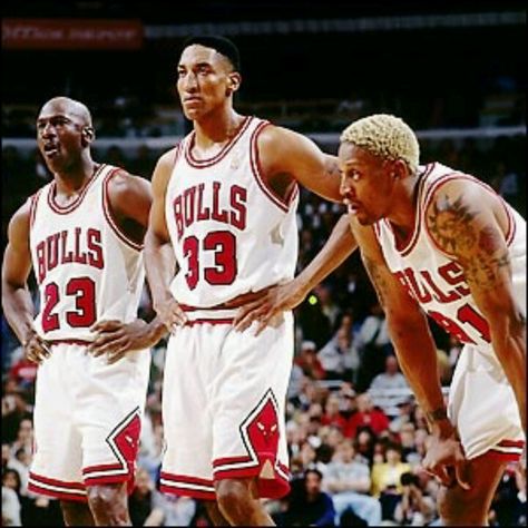 Dream team. Michael Jordan Scottie Pippen, Jeffrey Jordan, Chicago Sports Teams, Sport Videos, Basket Nba, Jordan Bulls, Michael Jordan Chicago Bulls, Bulls Basketball, Michael Jordan Basketball