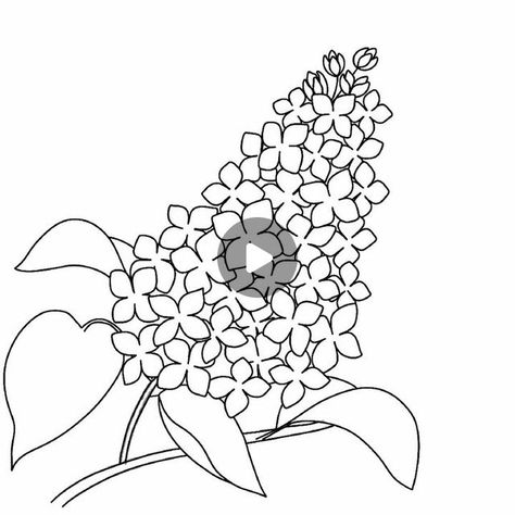 Lilac Drawing, Sketch Plan, Happy Drawing, Floral Illustrations, Art Stuff, Art Lessons, Lilac, Step By Step, Sketch