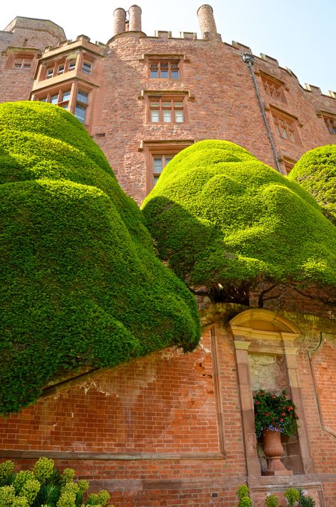 POWIS CASTLE AND GARDEN Powis Castle, Cloud Pruning, Famous Gardens, Welsh Dragon, Medieval Fortress, Living In England, Beautiful Places To Live, Sunken Garden, Castle Garden