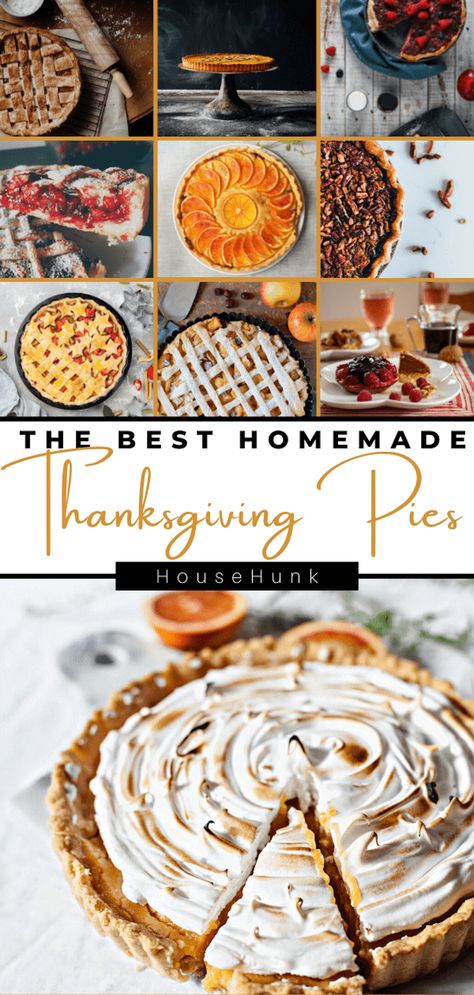 Are you looking for some easy and delicious pie recipes for fall? Look no further than these 24 amazing Thanksgiving pies that feature seasonal fruits, spices, and flavors. You'll find everything from apple cheddar pie to bourbon bacon pecan pie in this post. These Thanksgiving pie recipes are perfect for Thanksgiving desserts, or any cozy occasion. Pin this post now and save it for later! Fall Berry Pie, Fruit Thanksgiving Dessert, Gourmet Apple Pie, Tarts For Thanksgiving, Make Ahead Pies To Freeze, Thanksgiving Pie Flavors, Unique Pie Recipes Thanksgiving, Desert Pies Recipes, Homemade Thanksgiving Pies