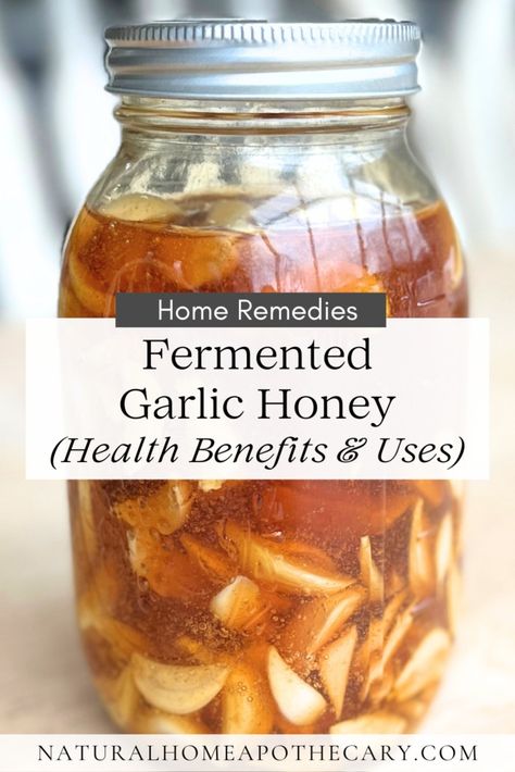 Easy Fermented Garlic Honey Recipe (Uses & Benefits) - Remedies Garlic Cloves In Honey, How To Ferment Garlic In Honey, Honey Garlic Syrup, Honey Infused Garlic, Honey And Garlic Remedy Natural Antibiotics, Garlic Infused Honey, Honey Onion Garlic Syrup Homemade, Honey Onion Garlic Syrup, Red Onion Garlic Honey Remedy