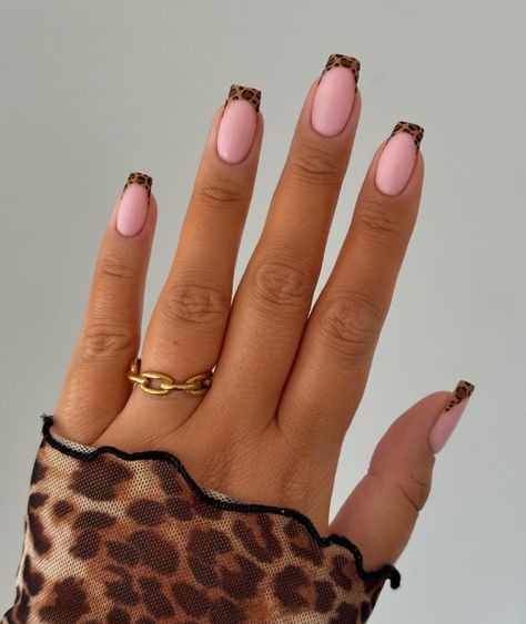 Leopard Print French Manicure Lepord Nails Acrylic French Tip, Nail Designs Leopard Print, Nail Designs Leopard, Leopard Print French Tips, Leopard Print Nail Designs, Leopard Print Nail Art, Nail Art Fall, Leopard Print Nail, Concert Nails