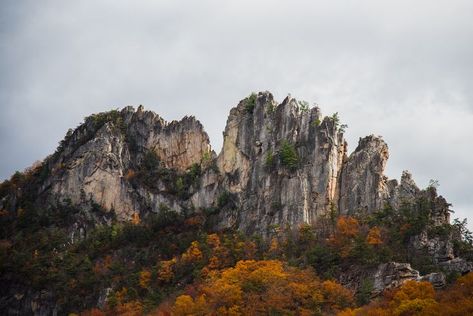 Discover Majestic Seneca Rocks, West Virginia Seneca Rocks, West Virginia Travel, Virginia Travel, Fall Camping, North America Travel, West Virginia, Weekend Getaways, Hiking Trails, East Coast