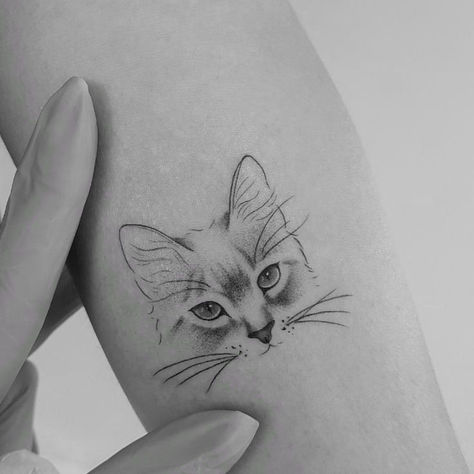 tattoo tattooartist tatuagem cat gato Cat Face Tattoos, Cat Portrait Tattoos, Cat Tattoo Simple, Black Cat Tattoos, Silhouette Tattoos, Amazing Tattoos, Tattoos For Lovers, Cat Tattoos, Cat Tattoo Designs