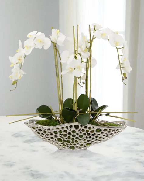 HGBE2 John-Richard Collection Orchid Display Floral Arrangement Orchid Display, Orchid Flower Arrangements, Console Entryway, John Richard Collection, Orchid Arrangements, Rug Buying Guide, Preserved Moss, John Richard, Phalaenopsis Orchid