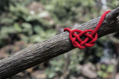 Your health begins with your heart: a 14 day challenge by farmwyfe.com Knot Spells, Spells Love, Paracord Bracelet Patterns, Survival Knots, Paracord Bracelet Diy, Heart Knot, Long Distance Relationships, Talk About Love, Distance Relationships