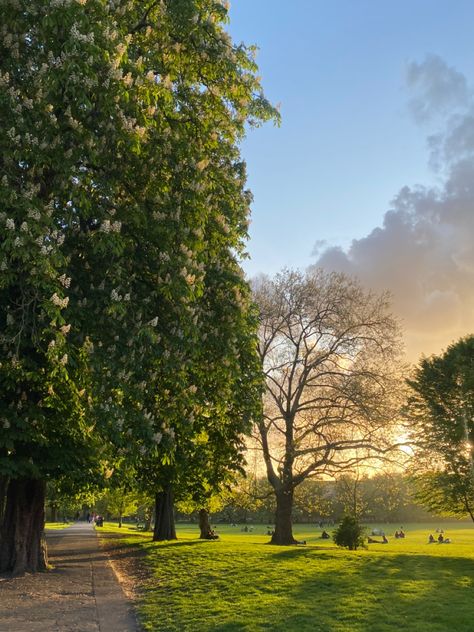 Clissold Park, Stoke Newington Stoke Newington, Life In London, London Park, London Life, In London, London