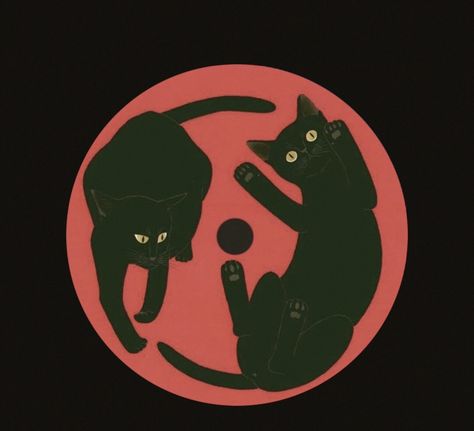 Red Aesthetic Grunge, Pfp Profile, Cats Black, Aesthetic Grunge, Red Aesthetic, Black Cats, Not Mine, Red And Black, Black Red