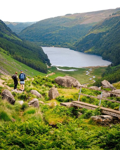 No wonder they call Wicklow ‘The garden of Ireland’.🌿✨🦌[ swipe ] My blog ‘10 Tips for a roadtrip through Ireland’ is online dear friends. From well-known to unknown tips: all the places that made my ❤️ beat faster. Of course, the Wicklow Mountains are in it. I mean… look at it! Tap on the link in my bio. #WicklowMountains #glendalough #Ireland #ExploreIreland #lushgreenery #NatureLovers #Wanderlust #visitwicklow #ierlandtoerisme #irelandtourism #Wicklow #wicklowmountains #ierland #tasteof... Glendalough Ireland, Wicklow Mountains, Wicklow Ireland, The Garden, My Blog, Lush, Tap, Road Trip, Wonder