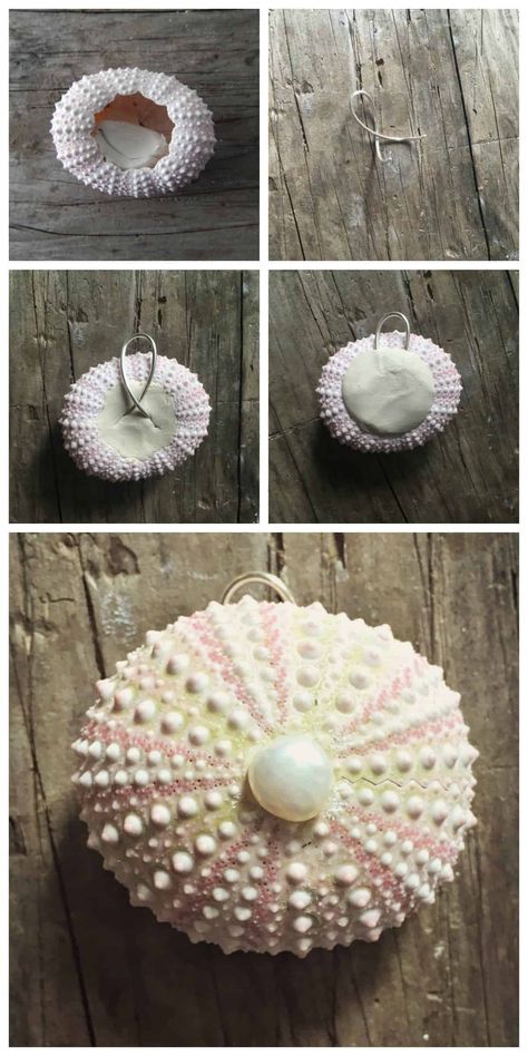 Crafts With Sea Urchin Shells, Pumpkin Cactus, Sea Urchins Art, Jewelry Wall Display, Beachy Crafts, Jewelry Making Ideas, Beach Decorations, Beachy Necklace, Wood Jewelry Display