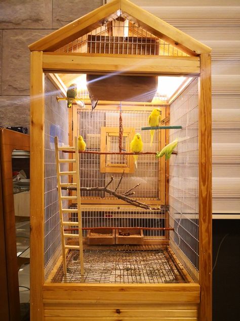 Lovebirds Cage Ideas, Outdoor Cabinet Diy, Bird Cage Ideas, Dope Rooms, Big Bird Cage, Indoor Rabbit Cage, Diy Bird Cage, Bird Cage Design, Flight Cage