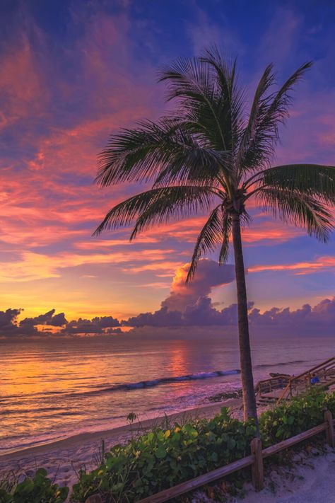 https://captainkimo.com/coconut-dreams-serenity-at-coral-cove-park-tequesta-fl/ Stay Salty, Pretty Nature, Jupiter Florida, Beautiful Ocean Pictures, Florida Photography, Ocean Pictures, Cool Wallpapers For Phones, Pretty Landscapes, Palm Beach Florida