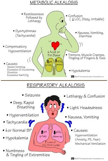 Metabolic and Respiratory Alkalosis Respiratory Alkalosis, Nursing Information, Nursing Board, Med Surg Nursing, Nursing Mnemonics, Pharmacology Nursing, Nursing School Survival, Critical Care Nursing, Nursing School Studying