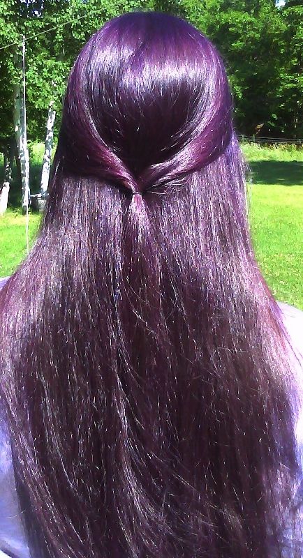 Dark purple...Can I do this without bleaching my hair? Long Purple Hair, Dark Purple Hair, Dip Dye Hair, Hair Creations, Hair Color Purple, Dye My Hair, Crazy Hair, Dream Hair, Hair Dos