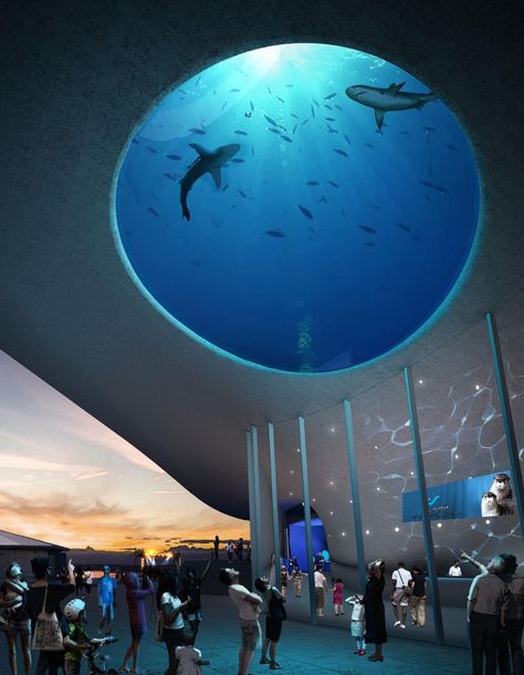 Seattle Aquarium plans $113 million pavilion with sharks, sting rays for new waterfront promenade | Northwest | wenatcheeworld.com Waterfront Promenade, Sting Rays, Seattle Aquarium, Paradise Falls, Sleepless In Seattle, Big Sur California, Pacific Nw, Downtown Seattle, Marine Environment