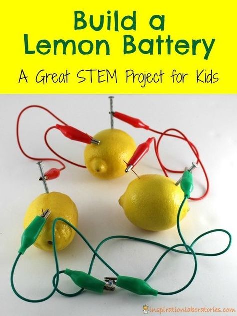 Show them the power of sour. | 17 Amazing Food Science Experiments That Will Blow Your Kids' Minds Electricity Activities For Preschool, Lemon Experiment, Food Science Experiments, Summer Science Experiments, Electricity Experiments, Clock Project, Montessori Kindergarten, Stem Projects For Kids, Snowman Art