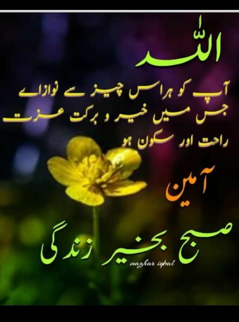 Subah Bakhair Urdu, Subha Bakhair Dua In Urdu, R8 Wallpaper, Urdu Dua, Good Morning Prayer Quotes, Subha Bakhair, Subah Bakhair, Latest Good Morning Images, Dua In Urdu