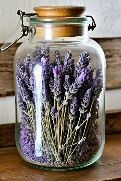 15 Herbs For Apothecary Arizona Permaculture, Diy Apothecary Decor, Witch Apothecary Aesthetic, Ginger Image, Apothecary Recipes, Apothecary Aesthetic, Diy Apothecary, Tulsi Tea, Apothecary Decor