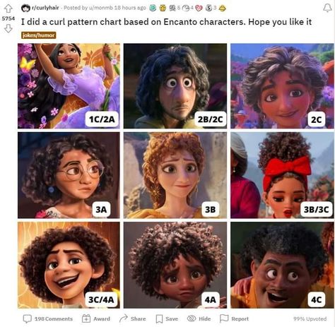 I love this use of characters to illustrate curl patterns Disney Characters With Curly Hair, Disney Princess Inspired Hairstyles, Curly Hair Disney Characters, Curly Haired Characters Movie, Curly Hair Fanart, Pixar Mom Body Type, Curly Hair Characters Halloween, Curly Hair Cartoon Characters, Curly Character