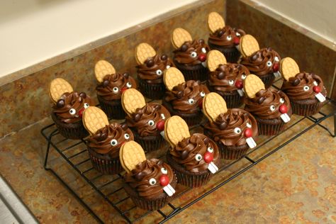 Beaver Cupcakes, Devils Food Cupcakes, Vbs Snacks, Canada Day Party, Potluck Ideas, Happy Canada Day, Devils Food, Sweet Ideas, Cupcake Decorating