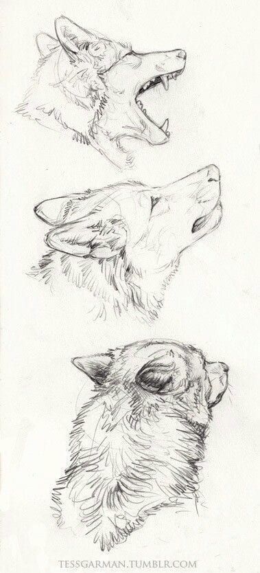 40 Free & Easy Animal Sketch Drawing Information & Ideas - Brighter Craft Ako Kresliť, Easy Pencil Drawings, Drawing Hands, Couple Drawing, Drawing Eyes, Easy Animals, Drawing Hair, Drawing Faces, Wolf Drawing